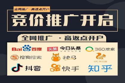 热门SEM运营公司案例深度剖析